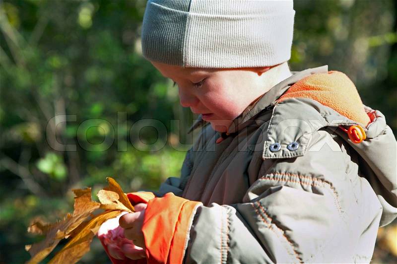 Happy small boy with oak leafs in golden autumn city park, stock photo