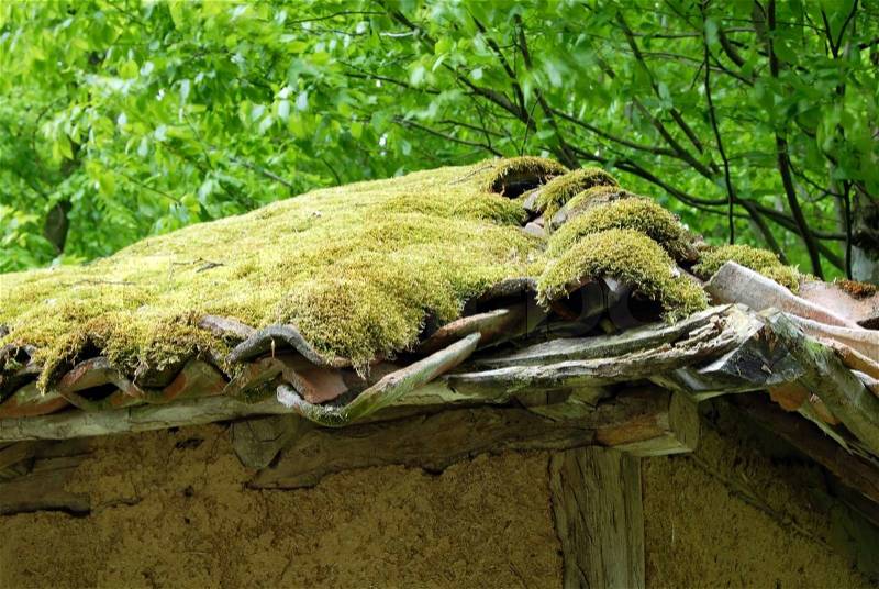 Architecture details, moss on tiled roof of old earth house in Serbia, stock photo