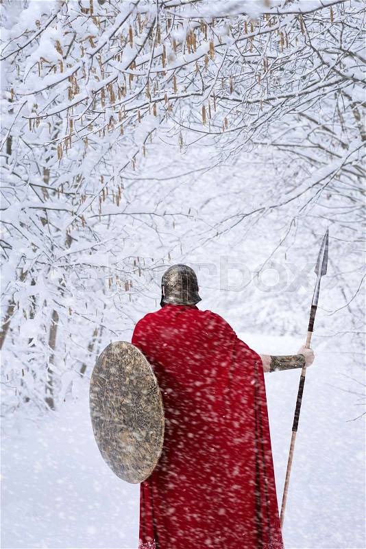 Spartan warrior walks in snowy winter forest in traditional long red cape. He keeps a sharp spear and a round metallic shield. Man has helmet on his head. Trees covered with snow, stock photo