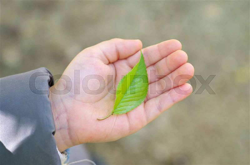 Green leaf in child hand. Care nature scene, stock photo