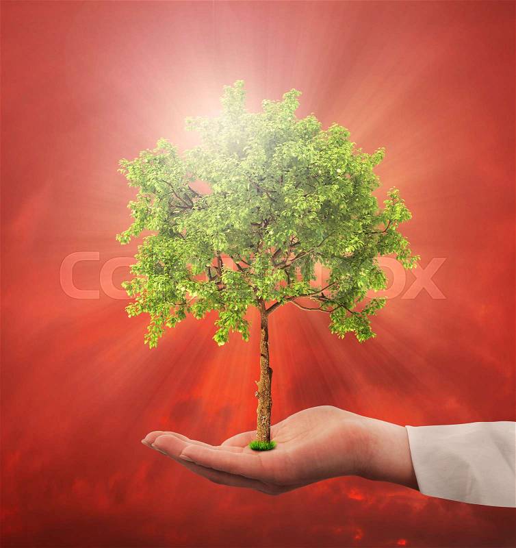 Concept of environmental protection. Hand hold a tree on a gloomy background. Save the planet, stock photo