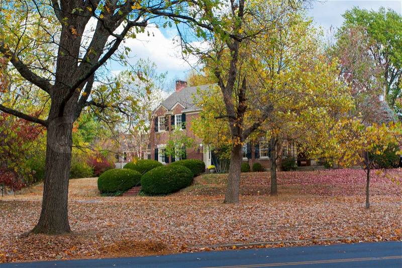 Autumn foliage at the ground on a street of typical American suburb, stock photo