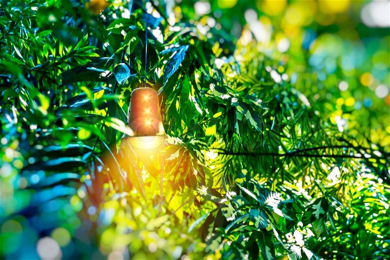 Bright lantern among green foliage, beautiful golden street lamp shining in tropical fresh tree leaves, abstract natural background, exotic summer holidays , stock photo