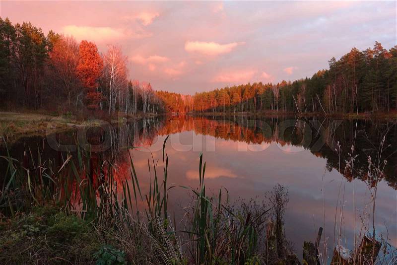 Majestic sunset over beautiful forest lake. Forest and lake at beautiful evening. , stock photo