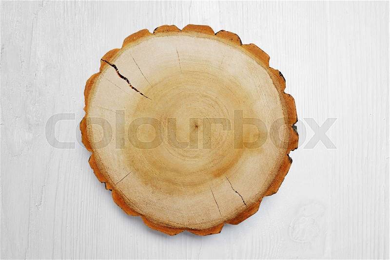 Wooden stump on the white background. Round cut down tree with annual rings as a wood texture, stock photo