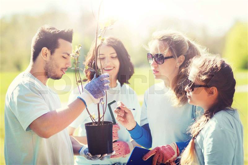 Volunteering, charity, people and ecology concept - group of volunteers with clipboard planting trees in park, stock photo