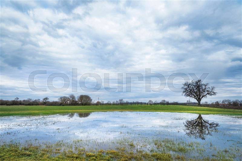 Moody spring scenery with a stormy sky, a green meadow and a single big tree reflected in the water of a small pond, in Schwabisch Hall, Germany, stock photo