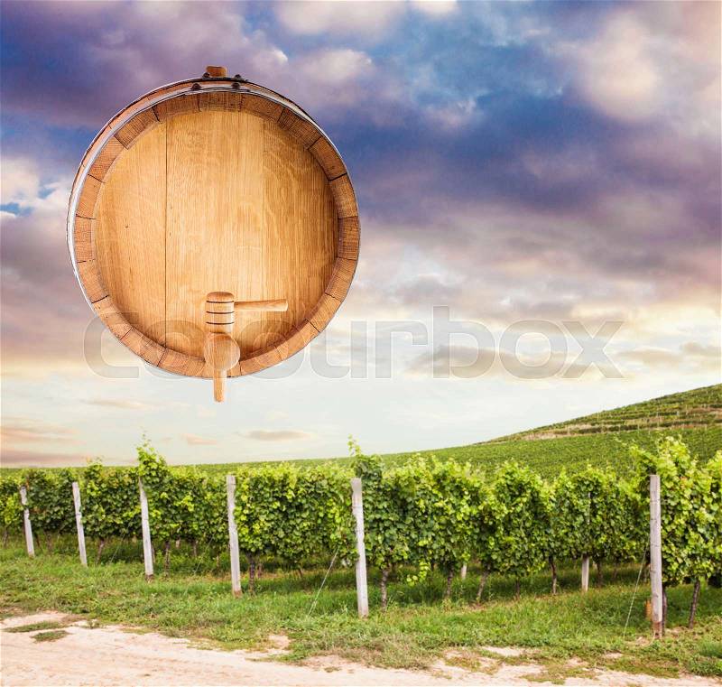 Wine mock up for design, wooden barrel over vineyard sunset landscape, stock photo
