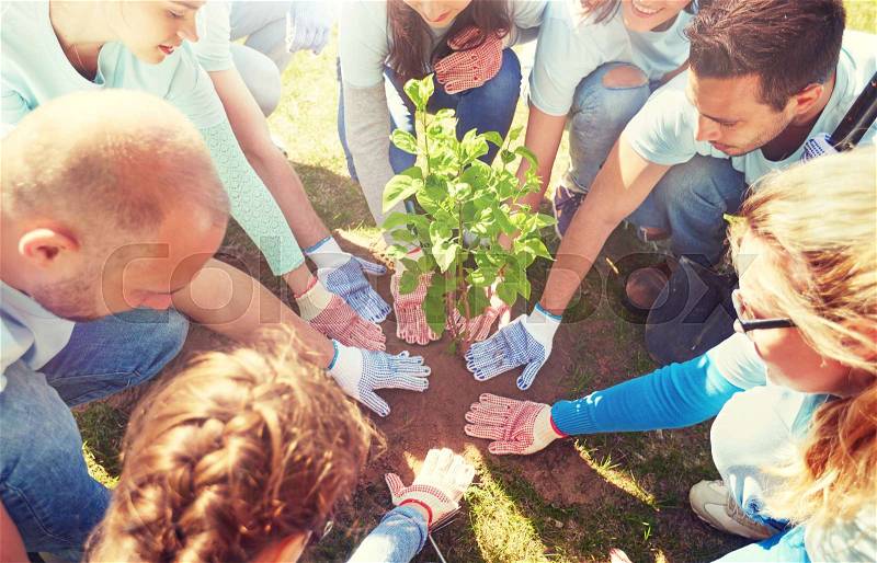 Volunteering, charity, people and ecology concept - group of happy volunteers planting tree in park, stock photo