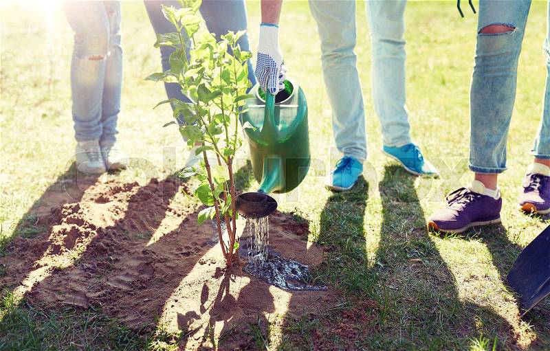 Volunteering, charity, people and ecology concept - group of volunteers planting and watering tree with can outdoors, stock photo