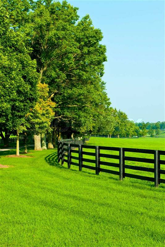 Green pastures of horse farms. Country Scenery, stock photo
