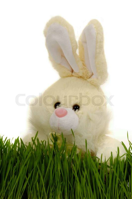 Free Pictures Taken With Easter Bunny 45