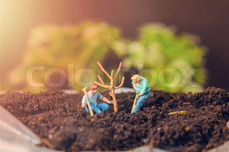 Two miniature figure people planting tree. gardening planting concept, stock photo