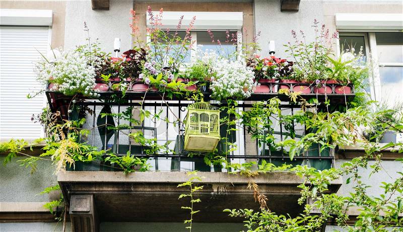 Typical French balcony with flower pots seen from below of a French street in summer, stock photo
