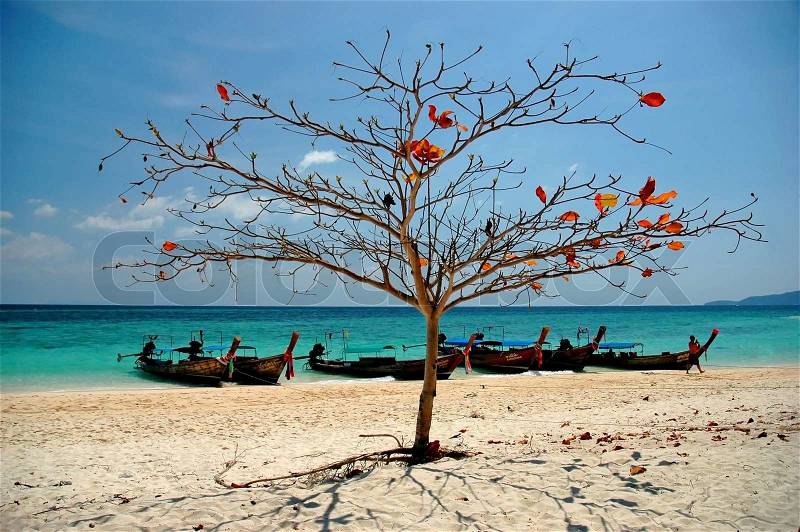 A Tropical beach with a tree and boats in Bamboo Island in Thailand, stock photo