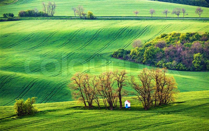 Green spring hills. Rolling spring fields. Chapel in arable lands of Czech Moravia. , stock photo