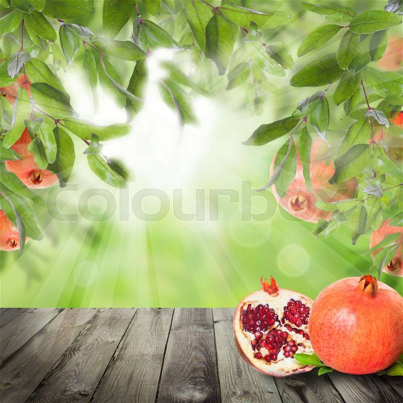 Ripe Pomegranate fruit on green background with garnet tree leaves and gray empty wooden board with copy space. Organic bio food background, stock photo