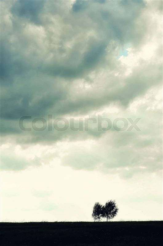 Minimalist single tree silhouette. Concept of loneliness, depression, escape, friendship, support, care, marriage. Nature background with copy space. Two trees alone against cloudy sky, stock photo