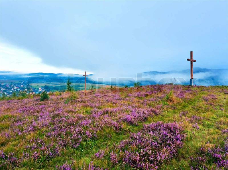 Summer heather flower hill, misty morning country view behind, and wooden crosses Lviv Oblast, Ukraine, stock photo
