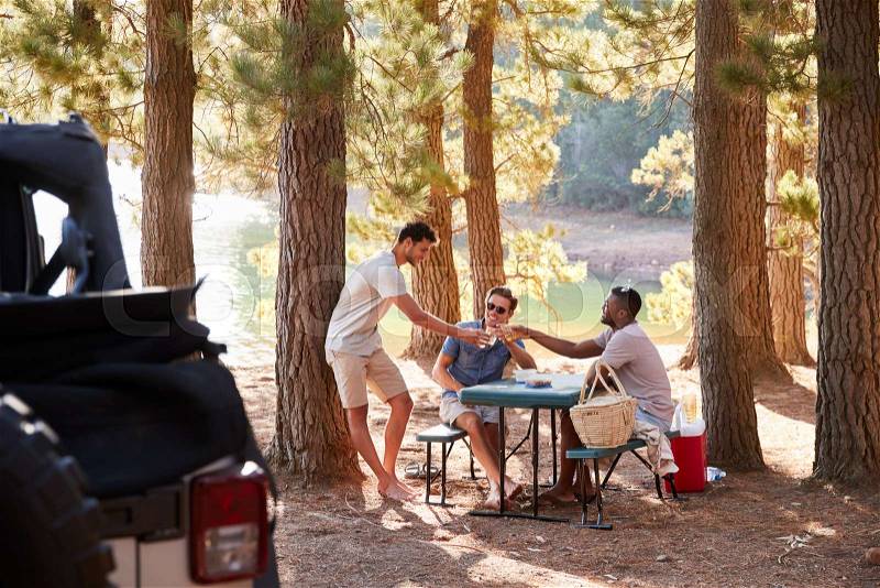 Three male friends make a toast at a picnic table by a lake, stock photo