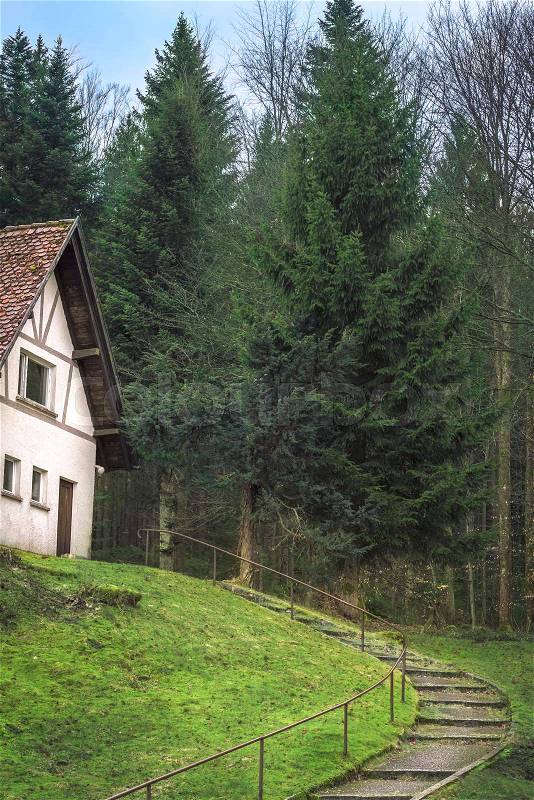 Stairs leading towards an abandoned old german house in the woods, in the Black Forest, near Schluchsee and Freiburg Breisgau, Germany, stock photo