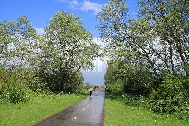 The solitary lady in purple is walking over the wet road after the rain shower and is walking to the bridge in the park in the village Zuidland in spring, stock photo