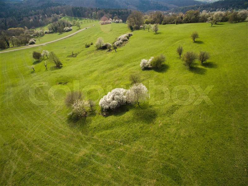 Aerial view of green hills with trees, Germany, stock photo