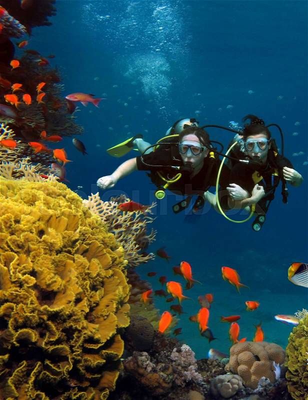 The loving couple dives among corals and fishes in the ocean, stock photo
