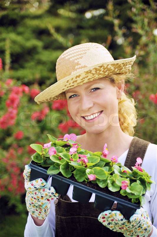 Young woman with container-grown plants, stock photo