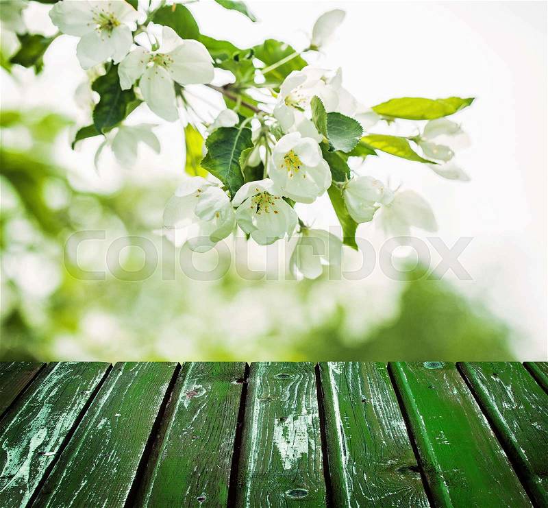 Floral Spring Background with Flowers, Green Leaves and Empty Wooden Case, stock photo