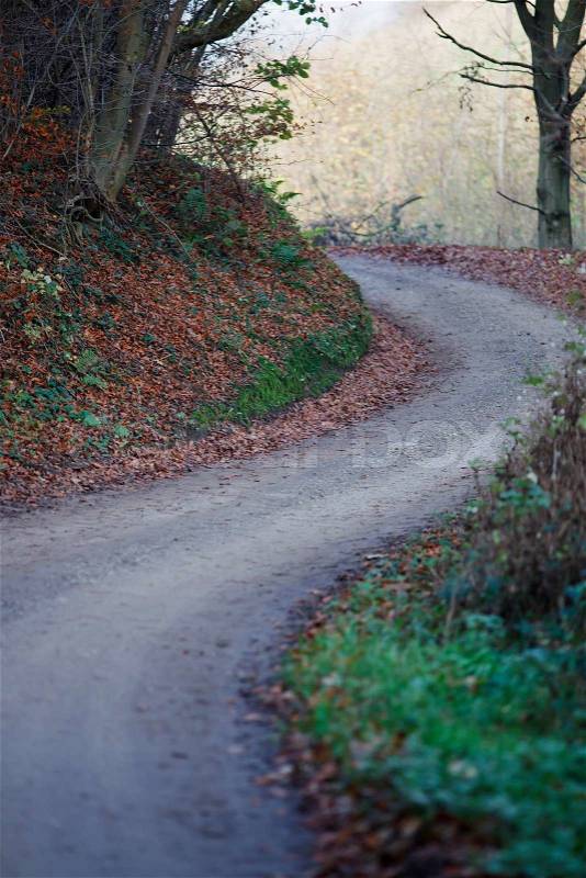 S curved forrest gravel road, stock photo