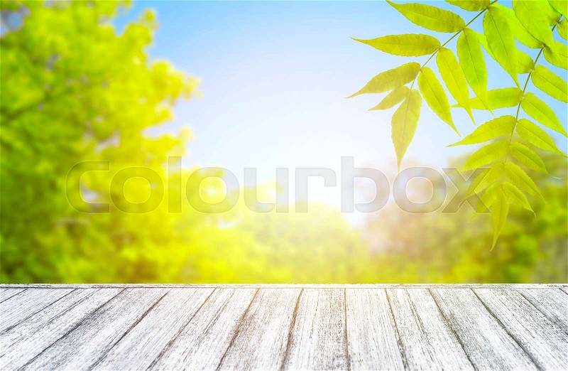Wooden table in Shabby Chic style and spring trees with green leaves against the blue sky. Empty place for your decoration or advertising. Copy space, stock photo
