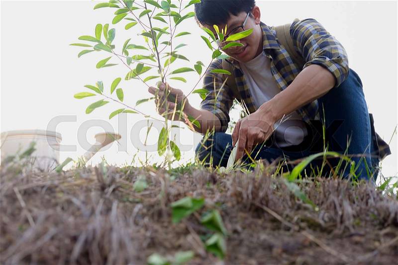 Planting a tree. Close-up on young man planting the tree, then watering the tree. Environment and ecology concept, stock photo