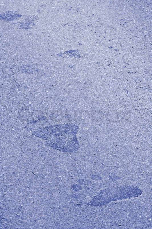 Bear paw print on moist gravel road surface, stock photo