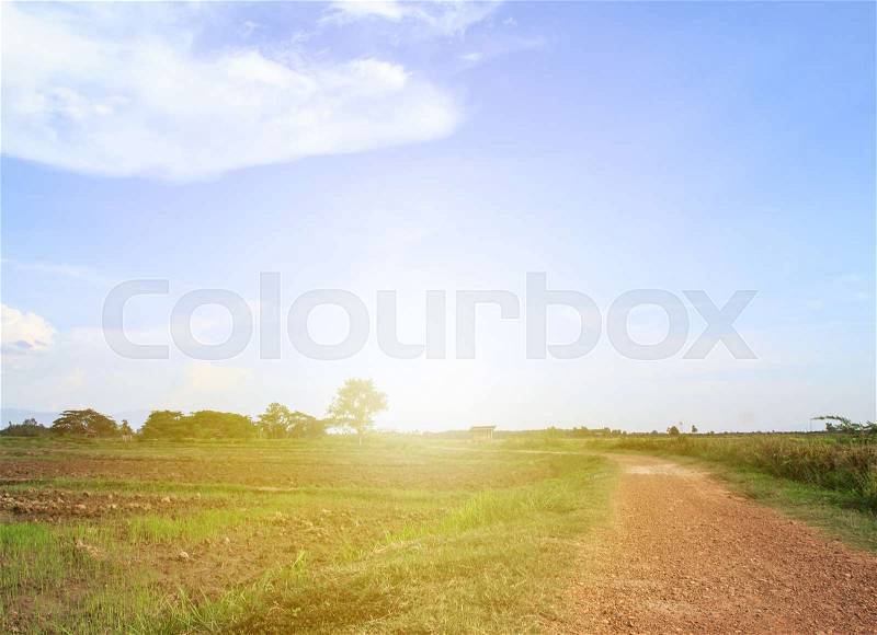 Road in the countryside has a beautiful green rice field along the way. And morning sunlight, stock photo