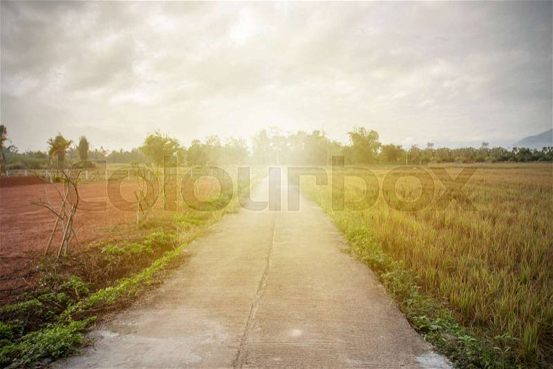 Concrete road in the countryside has a beautiful green rice field along the way. And morning sunlight, stock photo