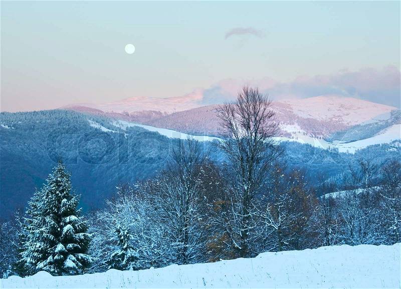 Winter sunset mountain landscape with snowy forest and Moon on sky Carpathian, Ukraine, stock photo