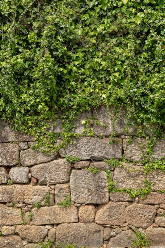 Plant grow on top of wall made from the granite rocks block stack, stock photo