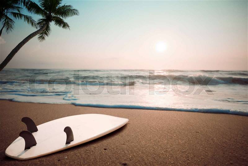Surfboard on tropical beach at sunset in summer. landscape of summer beach and palm tree at sunset. Vintage color tone, stock photo