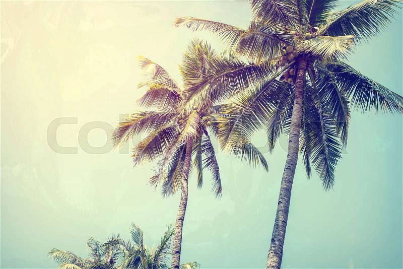 Vintage nature background of coconut palm tree on tropical beach blue sky with sunlight of morning in summer,photo paper texture with instagram filter , stock photo