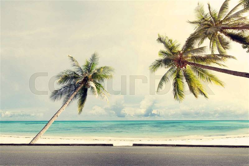Vintage nature background of coconut palm tree on tropical beach blue sky with sunlight of morning in summer, retro effect filter, stock photo