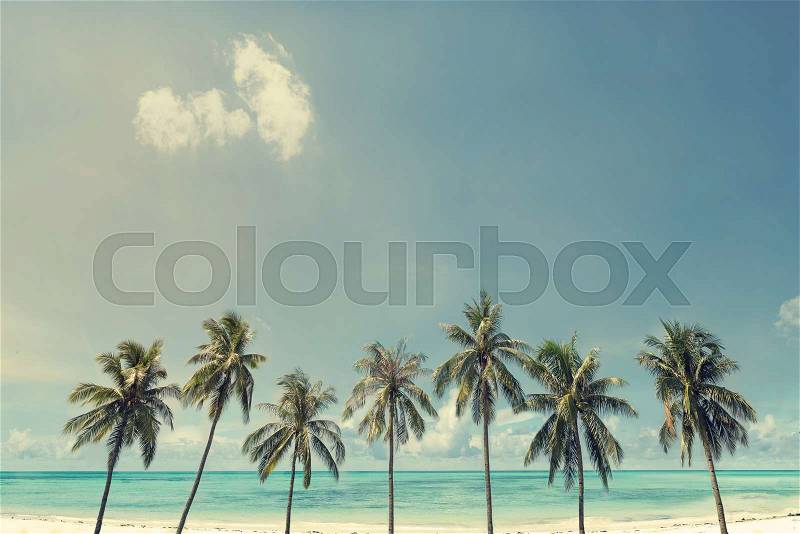 Vintage nature background of coconut palm tree on tropical beach blue sky with sunlight of morning in summer, retro effect filter, stock photo
