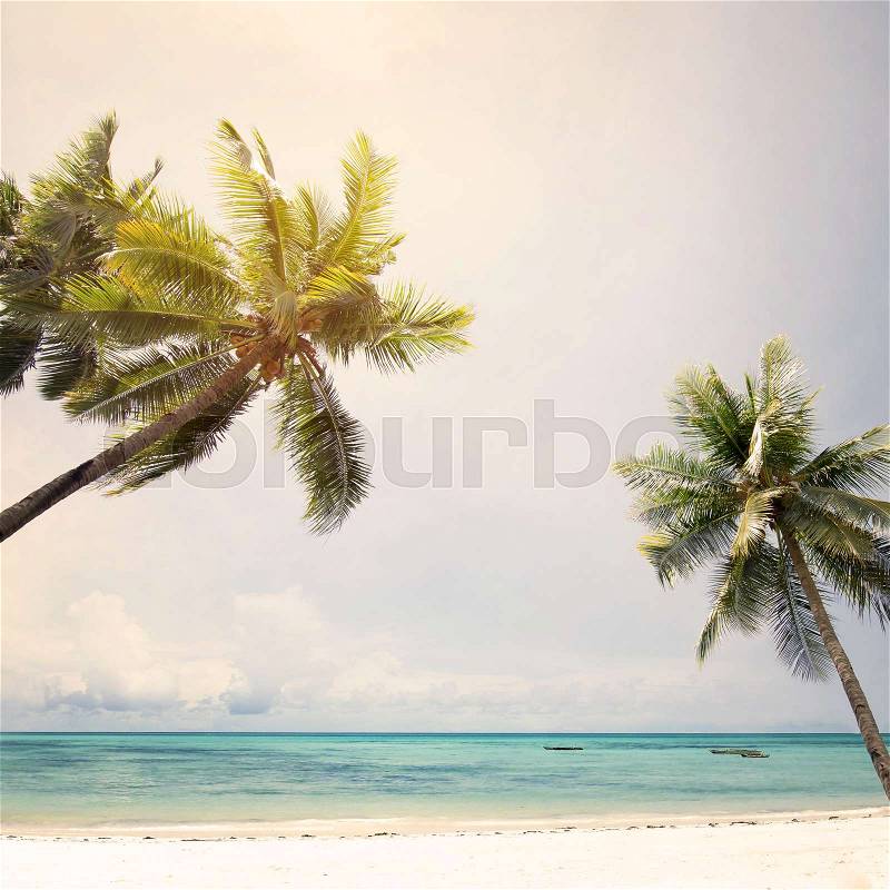 Landscape of coconut palm trees at tropical beach coast, vintage color tone and retro stylized, stock photo