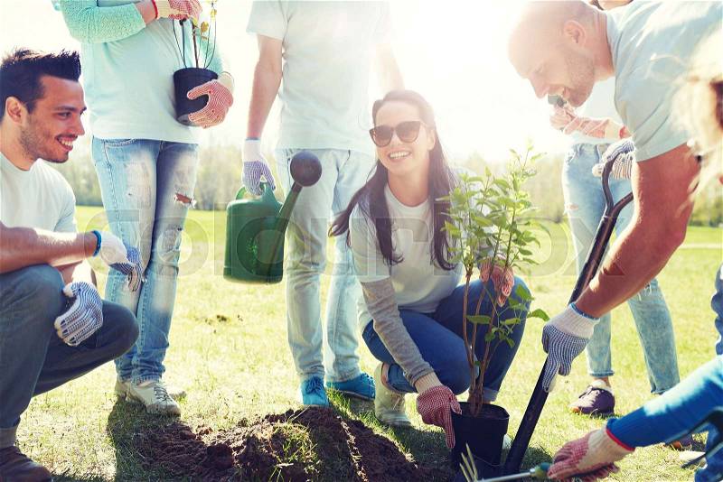 Volunteering, charity, people and ecology concept - group of happy volunteers planting tree and digging hole with shovel in park, stock photo