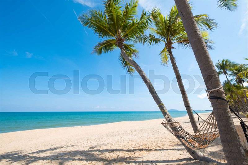 Hammock hang on palm tree. Landscape of summer season in tropical beach, stock photo