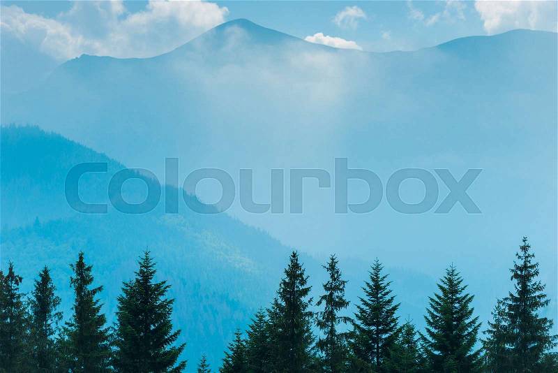 Shooting in the morning - in the frame high mountains, firs and fog, stock photo