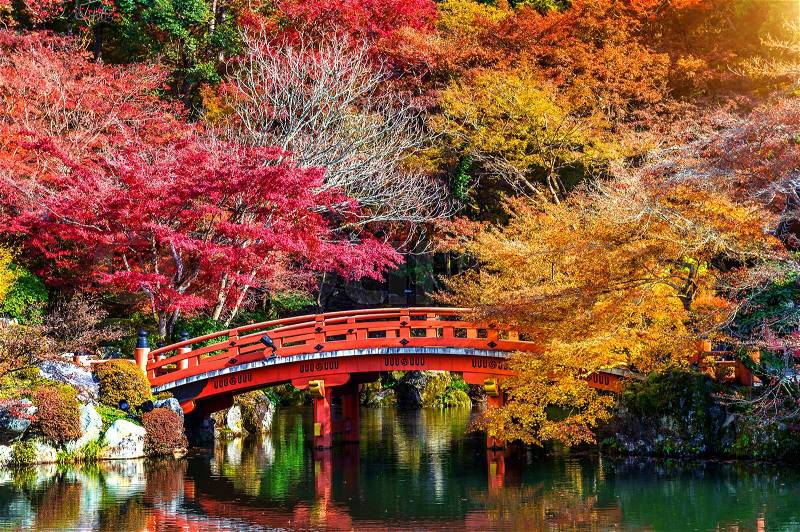 Autumn season in Japan, Beautiful autumn park, stock photo