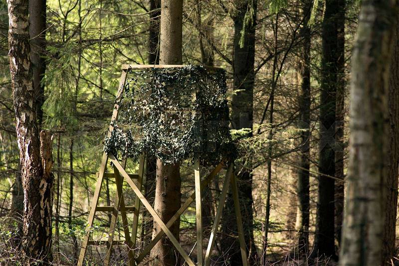 Closeup hunting chair up a tree in a Danish forest, stock photo