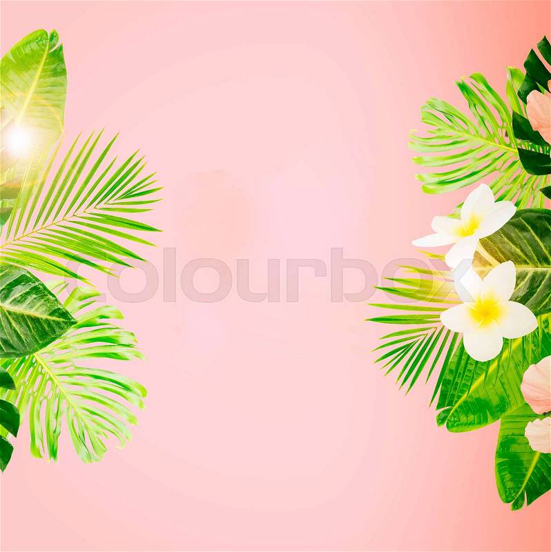 Tropical green leaves and flowers card, copy space on pink summer background toned image, stock photo
