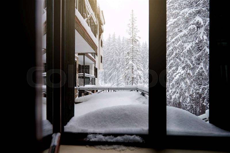 The view from window of a house in winter forest, stock photo